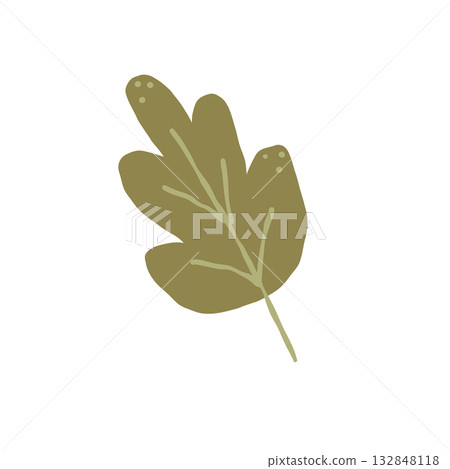 Hand drawn green autumn leave isolated on white background. Vector illustration for home decor and design, greeting card, banner, poster, label. 132848118