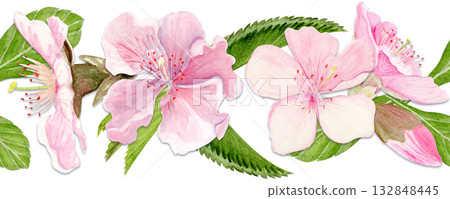 Sakura flowers horizontal seamless border watercolor, pink tones, hand-painted in natural botanical style. Perfect for wedding invitations, spring cards, packaging, textile design. Isolated on white Sakura flowers horizontal seamless border watercolor, pink tones, hand-painted in natural botanical style. Perfect for wedding invitations, spring cards, packaging, textile design. Isolated on white 132848445