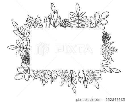Horizontal frame with maple leaves, rowan berries and mushrooms. Hand drawn botanical vector illustration. Black line art graphic. Autumn garden background for holidays, invitations, Thanksgiving. 132848585