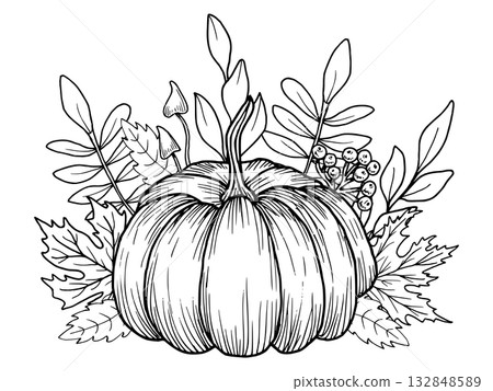 Pumpkin with maple leaves, berries and mushrooms. Hand drawn botanical vector illustration. Black line art graphic. Autumn garden composition for seasonal holidays, packaging and Thanksgiving. 132848589