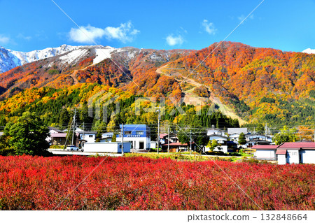 從JR大糸線飯盛站眺望白馬五龍滑雪場（長野縣白馬村）[2025年11月] 132848664