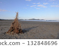 A three-dimensional sculpture made from driftwood washed up on the beach and a distant view of the sea 132848696