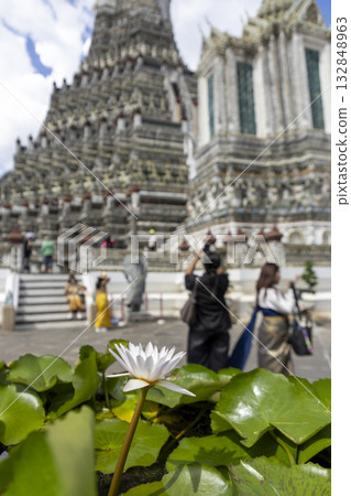 黎明寺（鄭王廟）的睡蓮 132848963