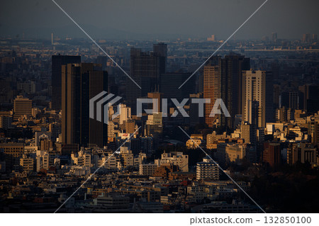 在東京的風景 132850100