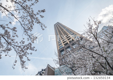 在東京的風景 在東京的風景 132850134