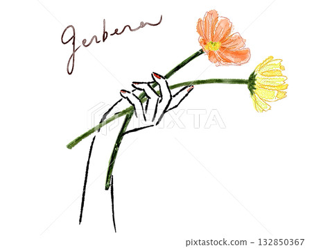 Hand with gerbera 132850367