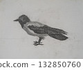 Artwork depicting a crow drawn in black and white pencil on textured paper 132850760
