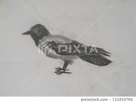 Artwork depicting a crow drawn in black and white pencil on textured paper Artwork depicting a crow drawn in black and white pencil on textured paper 132850760