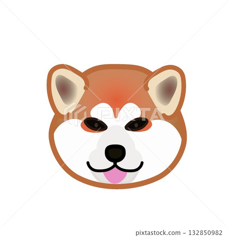 秋田犬的臉朝前 132850982
