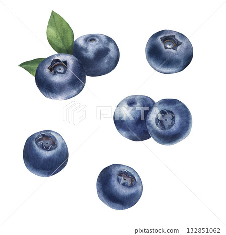 Blueberries with leaves watercolor illustration isolated on white transparent background Blueberries with leaves watercolor illustration isolated on white transparent background 132851062