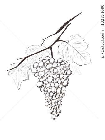 Grapes 132851090