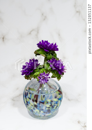 A chrysanthemum in a cool-colored glass vase (vertical composition, center position) 132851137