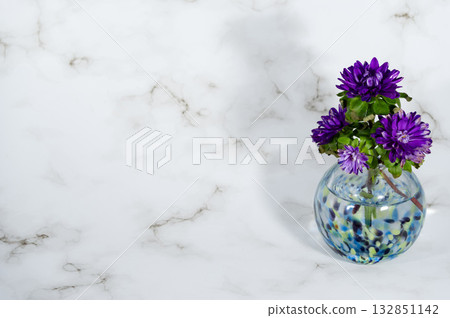 一朵菊花插在冷色調的玻璃花瓶中(橫向構圖,位於右側) 一朵菊花插在冷色調的玻璃花瓶中(橫向構圖,位於右側) 132851142