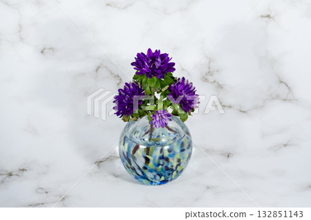 一朵菊花插在冷色調的玻璃花瓶中（位於水平構圖的中間位置） 132851143