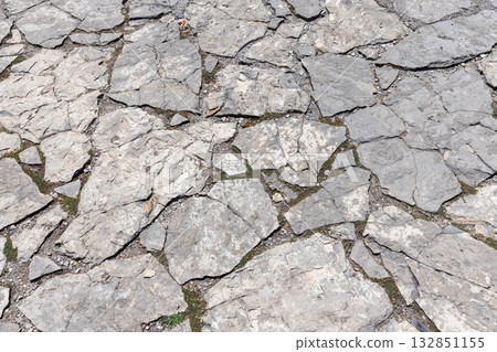 A weathered gray stone pavement of irregular slabs, small gaps filled with dirt 132851155