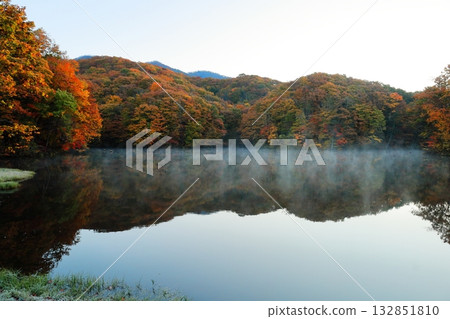 裡磐梯馬裡澤沼澤的秋葉 132851810