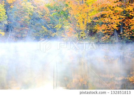 裡磐梯馬裡澤沼澤的秋葉 132851813