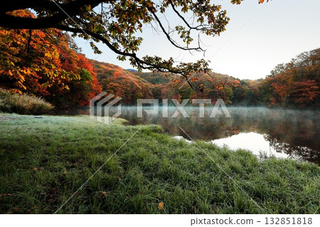 Autumn leaves at Magarizawa Swamp in Urabandai 132851818