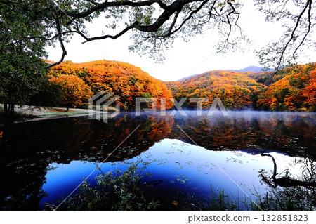 Autumn leaves at Magarizawa Swamp in Urabandai 132851823