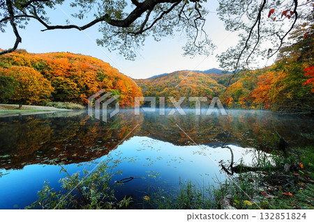 Autumn leaves at Magarizawa Swamp in Urabandai 132851824