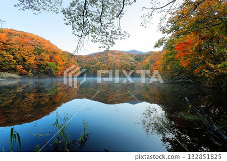 裡磐梯馬裡澤沼澤的秋葉 132851825