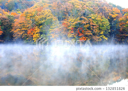 裡磐梯馬裡澤沼澤的秋葉 132851826