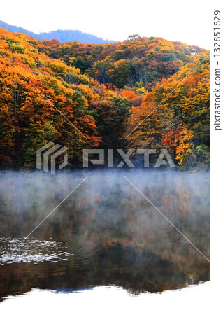裡磐梯馬裡澤沼澤的秋葉 132851829