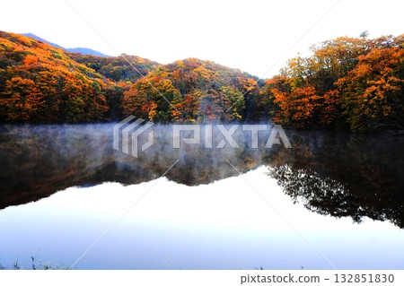 裡磐梯馬裡澤沼澤的秋葉 132851830