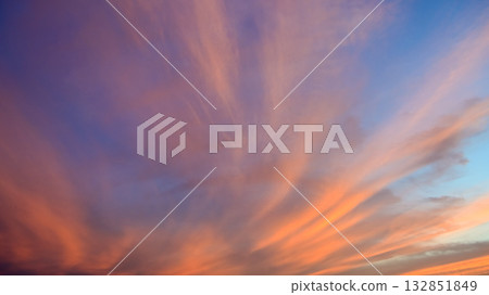 暮光之城 132851849