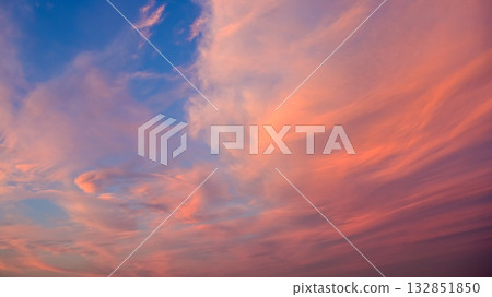 暮光之城 132851850