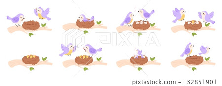 Bird family. Creating family, hatching and feeding chicks step by step. Birds feeds children in nest. Leaving home and freedom metaphor racy vector set Bird family. Creating family, hatching and feeding chicks step by step. Birds feeds children in nest. Leaving home and freedom metaphor racy vector set 132851901