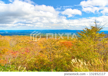 從栃木縣那須郡那須町那須高原展望台眺望,秋葉染紅了那須高原。 從栃木縣那須郡那須町那須高原展望台眺望,秋葉染紅了那須高原。 132852117