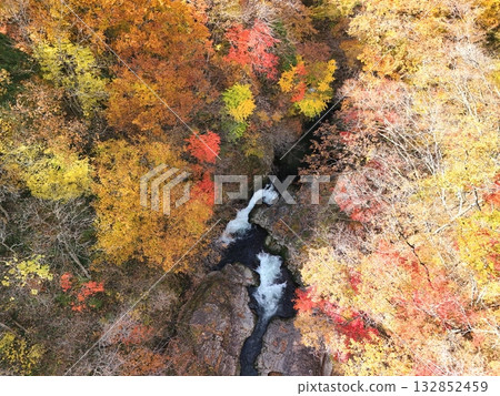 Aerial view of Akiu Falls with autumn leaves 132852459