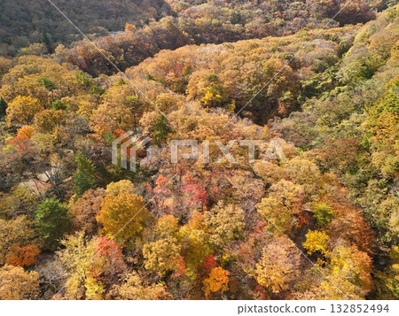 Aerial view of the Natori River in Akiu with autumn leaves 132852494