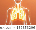 Illustration of the human body and lungs 132853296