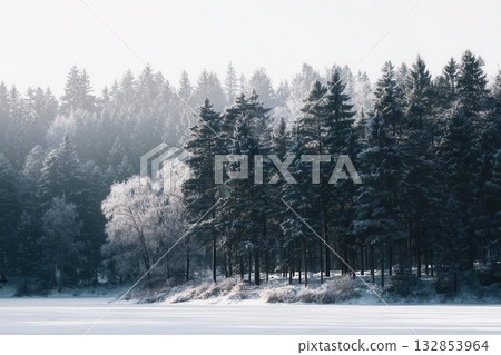 Frosty Winter Forest Scene with Frozen Lake 132853964