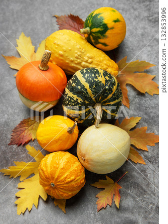Autumn gourds and squash with colorful fall leaves 132853996