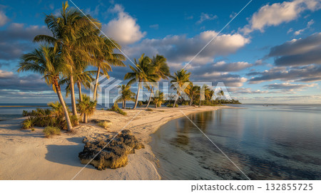 南島上的海灘 132855725