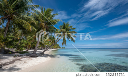 南島上的海灘 132855731