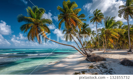 南島上的海灘 132855732