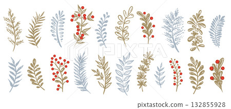 Branch set on white, hand drawn, vector. Branch set on white, hand drawn, vector. 132855928