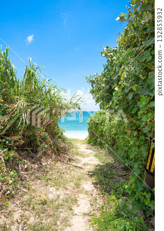 Okinawa beach entrance 132855932