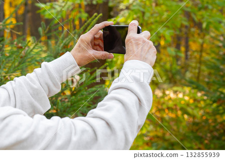 Close-up of hands holding smartphone outdoors among autumn foliage. Connection, technology use, and mindfulness in natural environment. 132855939