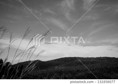 scenery scenery 132856077