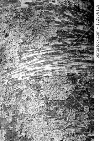 Bark 132856118