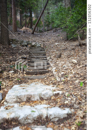 Railroad Tie Steps with Rockwall in the Woods, Skyforest, California 132856302