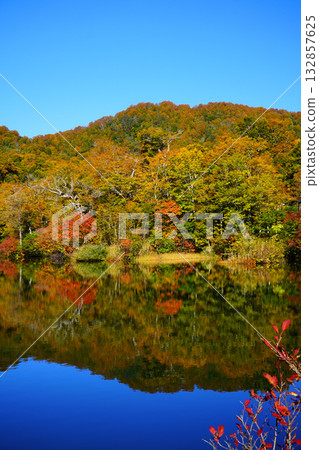 Autumn leaves of Kamike 132857625