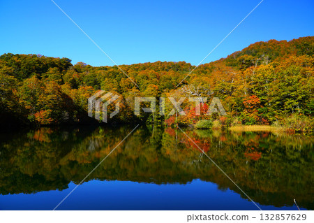 Autumn leaves of Kamike Autumn leaves of Kamike 132857629