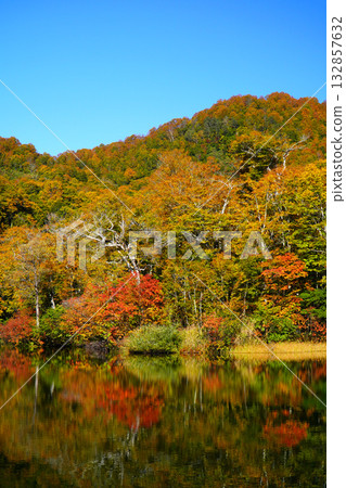 Autumn leaves of Kamike Autumn leaves of Kamike 132857632