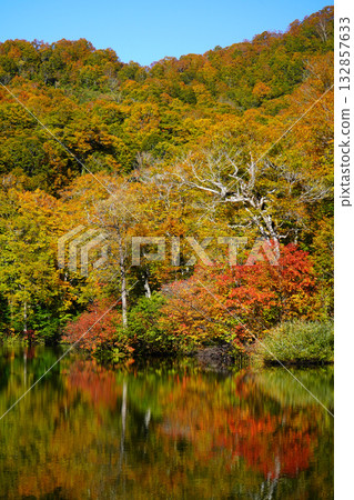 Autumn leaves of Kamike Autumn leaves of Kamike 132857633